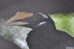 Khao Kheow Open Zoo