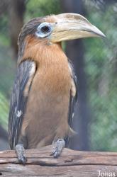 Khao Kheow Open Zoo