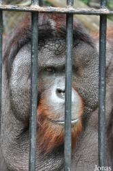 Safari World
