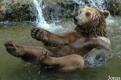 Salzburger Tiergarten Hellbrunn