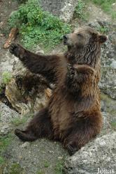 Salzburger Tiergarten Hellbrunn