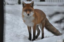Wildpark Eekholt