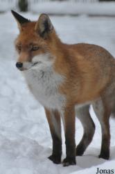 Wildpark Eekholt