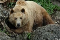 Salzburger Tiergarten Hellbrunn