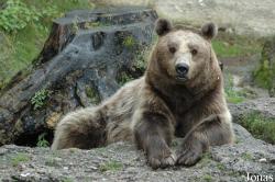 Salzburger Tiergarten Hellbrunn