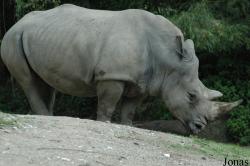 Salzburger Tiergarten Hellbrunn