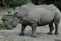 Salzburger Tiergarten Hellbrunn