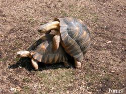 Zoo d'Amnéville