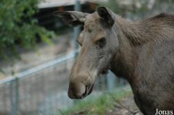 Alpenzoo Innsbruck