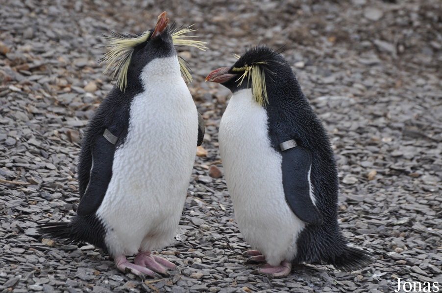 ZSL Whipsnade Zoo