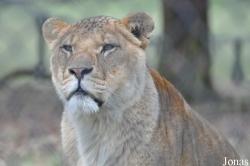 ZSL Whipsnade Zoo