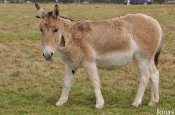 ZSL Whipsnade Zoo