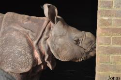 ZSL Whipsnade Zoo