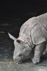 ZSL Whipsnade Zoo