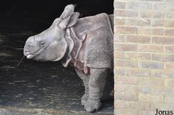 ZSL Whipsnade Zoo