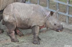 ZSL Whipsnade Zoo