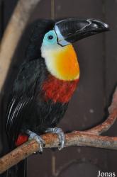 Paradise Wildlife Park