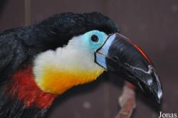 Paradise Wildlife Park