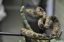 Heathrow Animal Reception Centre (P)