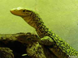 Zoo d'Amnéville
