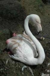 Raritätenzoo Ebbs