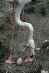 Raritätenzoo Ebbs