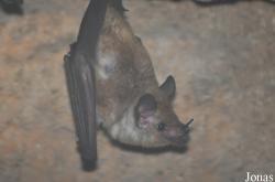 Zoologischer Garten Krefeld