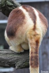Zoologischer Garten Krefeld