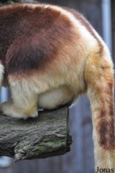 Zoologischer Garten Krefeld