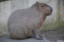 Zoo Stralsund