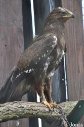 Zoo Stralsund