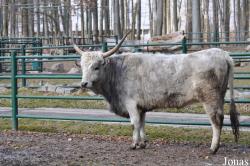 Zoo Stralsund