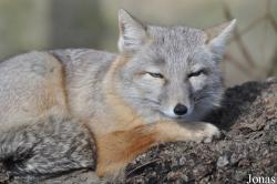 Zoo Stralsund