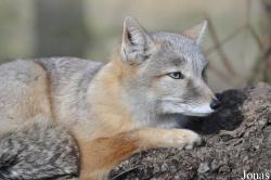 Zoo Stralsund
