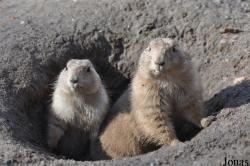 Zoo Stralsund