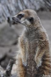 Tierpark Ueckermünde