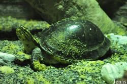 National Sea Life Birmingham
