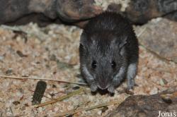 Birmingham Nature Centre