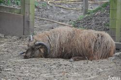 Birmingham Nature Centre