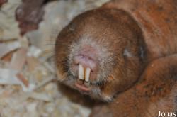Zoo Osnabrück