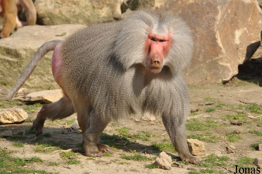 Zoo Osnabrück