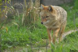Zoo Osnabrück