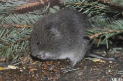 Tierpark Nordhorn