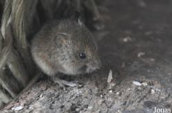 Tierpark Nordhorn