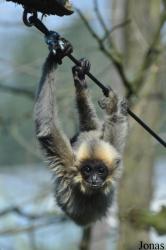 Burgers' Zoo