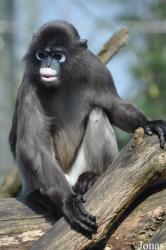 Burgers' Zoo