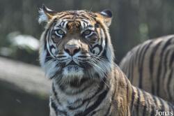 Burgers' Zoo