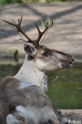 Burgers' Zoo