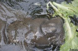 Burgers' Zoo