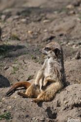Burgers' Zoo